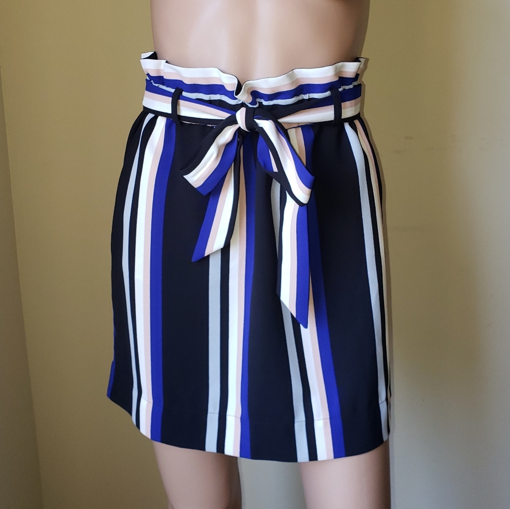 🆕️ EXPRESS Blue & Black Striped Skirt